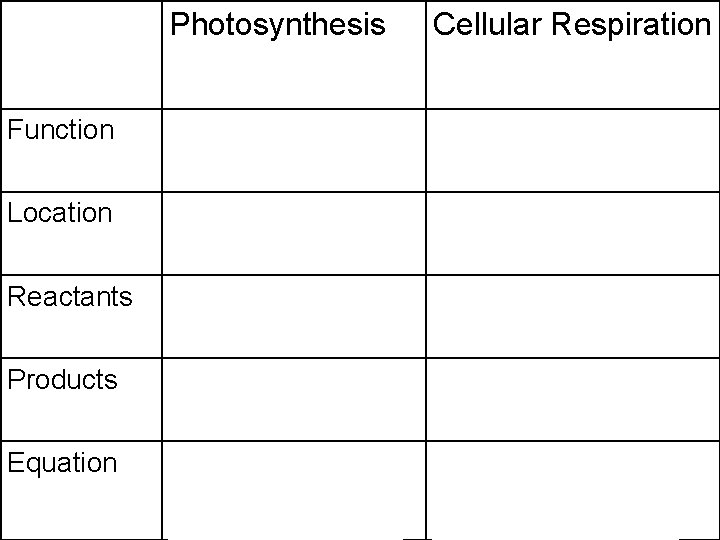 Photosynthesis Cellular Respiration Function Energy Storage Energy Release Location Chloroplasts Mitochondria Reactants CO 2