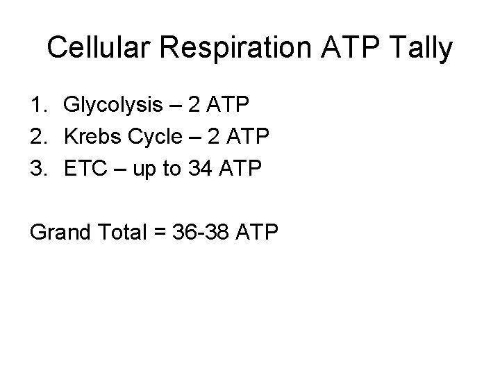 Cellular Respiration ATP Tally 1. Glycolysis – 2 ATP 2. Krebs Cycle – 2