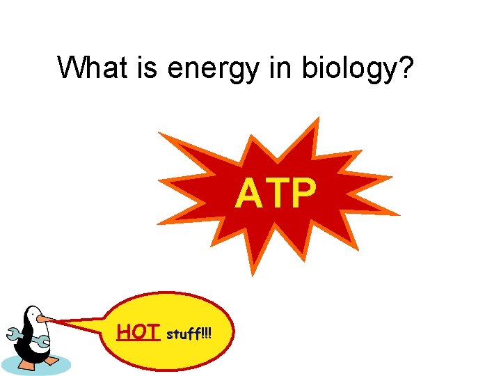 What is energy in biology? ATP HOT stuff!!! 