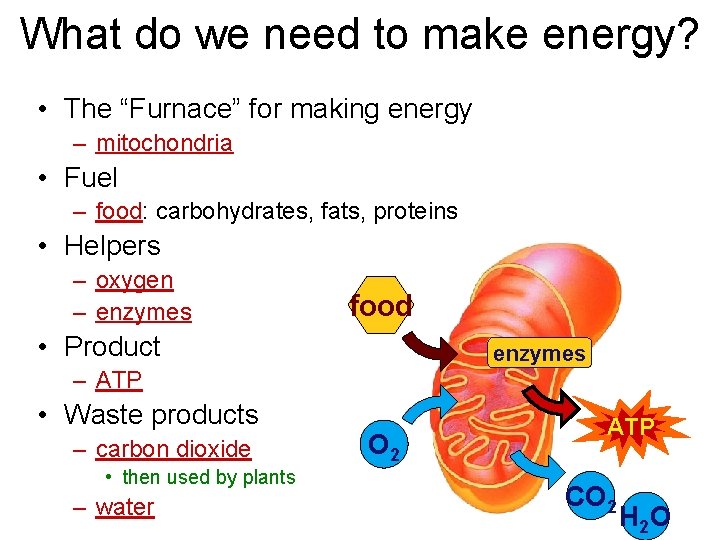 What do we need to make energy? • The “Furnace” for making energy –