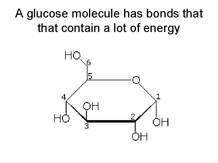 A glucose molecule has bonds that contain a lot of energy 