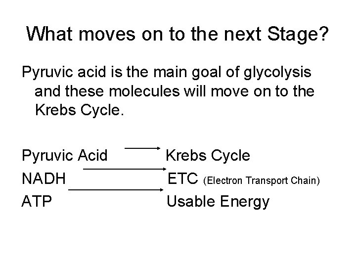 What moves on to the next Stage? Pyruvic acid is the main goal of