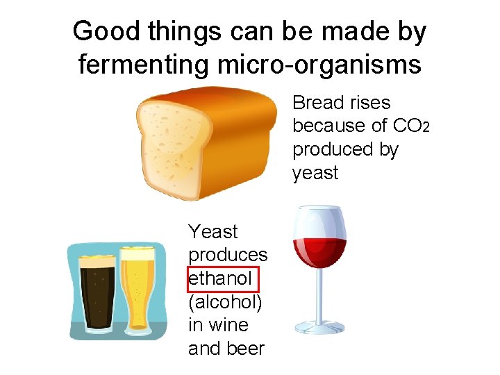 Good things can be made by fermenting micro-organisms Bread rises because of CO 2