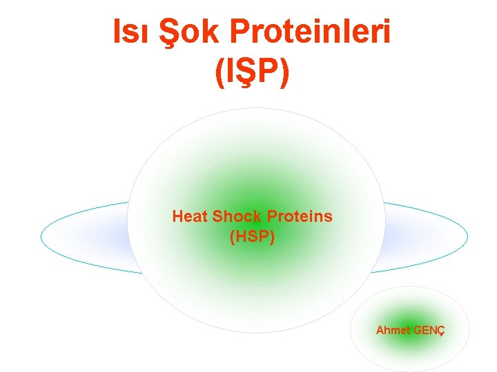 Isı Şok Proteinleri (IŞP) Heat Shock Proteins (HSP) Ahmet GENÇ 
