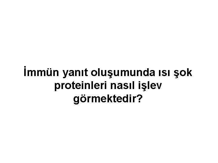 İmmün yanıt oluşumunda ısı şok proteinleri nasıl işlev görmektedir? 