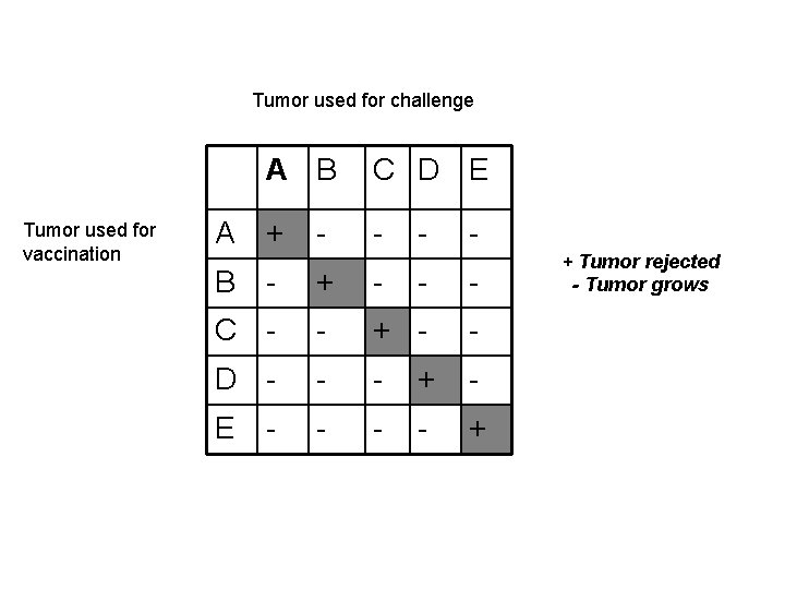 Tumor used for challenge A B Tumor used for vaccination A + - C