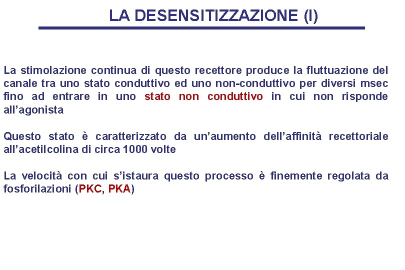 LA DESENSITIZZAZIONE (I) La stimolazione continua di questo recettore produce la fluttuazione del canale