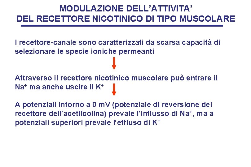 MODULAZIONE DELL’ATTIVITA’ DEL RECETTORE NICOTINICO DI TIPO MUSCOLARE I recettore-canale sono caratterizzati da scarsa
