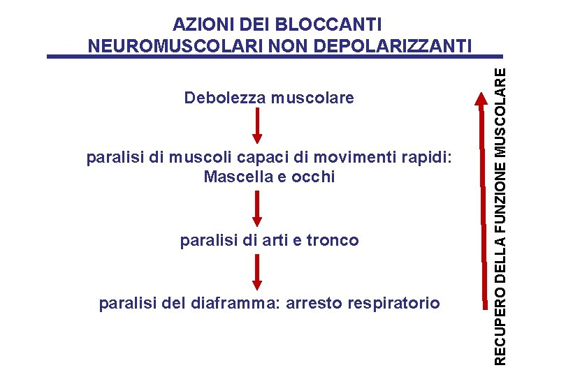 Debolezza muscolare paralisi di muscoli capaci di movimenti rapidi: Mascella e occhi paralisi di
