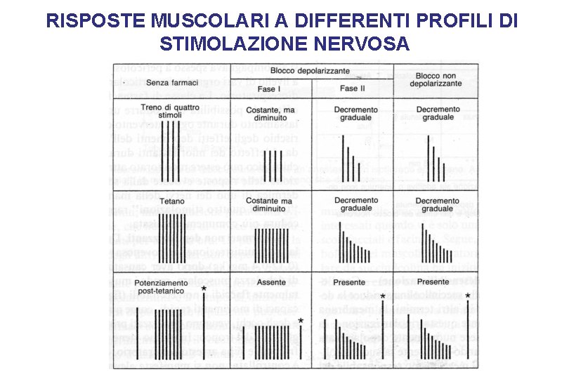 RISPOSTE MUSCOLARI A DIFFERENTI PROFILI DI STIMOLAZIONE NERVOSA 