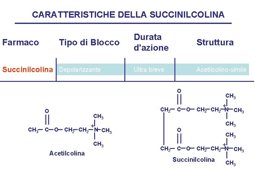 CARATTERISTICHE DELLA SUCCINILCOLINA Farmaco Tipo di Blocco Succinilcolina Depolarizzante Durata d'azione Struttura Ultra breve