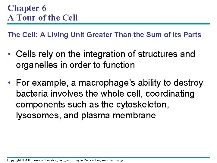 Chapter 6 A Tour of the Cell The Cell: A Living Unit Greater Than