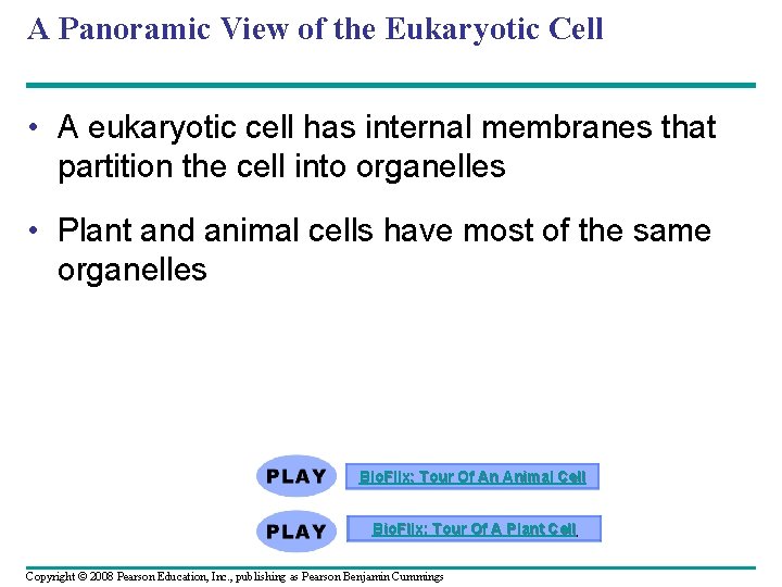 A Panoramic View of the Eukaryotic Cell • A eukaryotic cell has internal membranes