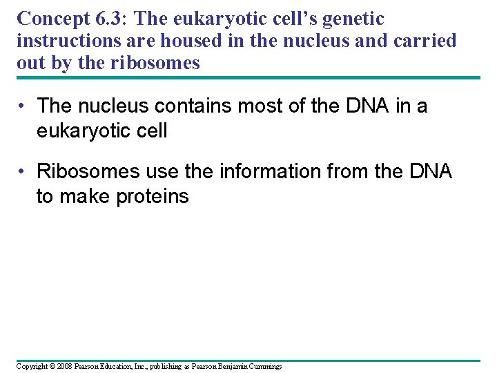 Concept 6. 3: The eukaryotic cell’s genetic instructions are housed in the nucleus and