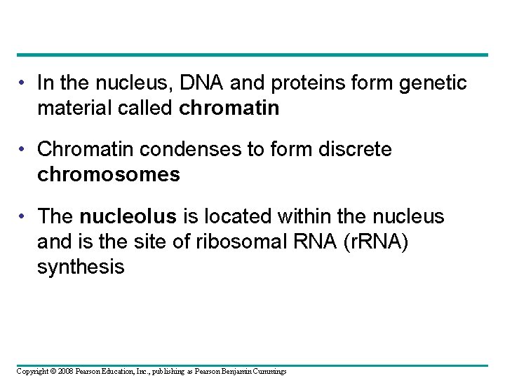  • In the nucleus, DNA and proteins form genetic material called chromatin •