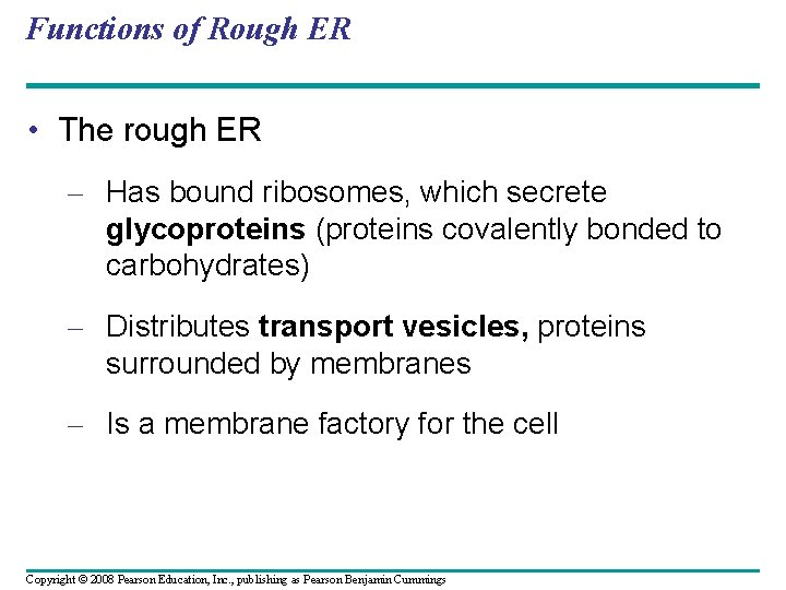 Functions of Rough ER • The rough ER – Has bound ribosomes, which secrete