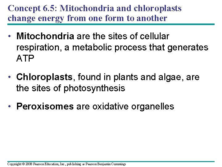 Concept 6. 5: Mitochondria and chloroplasts change energy from one form to another •