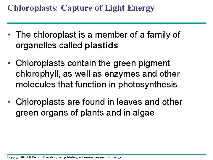 Chloroplasts: Capture of Light Energy • The chloroplast is a member of a family