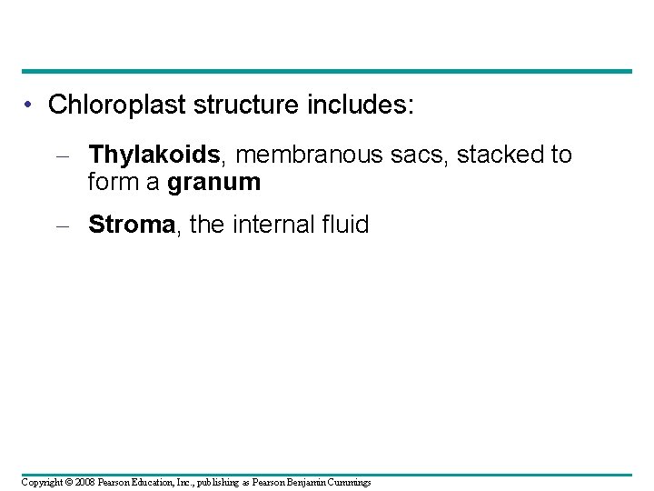  • Chloroplast structure includes: – Thylakoids, membranous sacs, stacked to form a granum