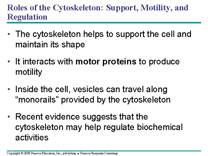 Roles of the Cytoskeleton: Support, Motility, and Regulation • The cytoskeleton helps to support