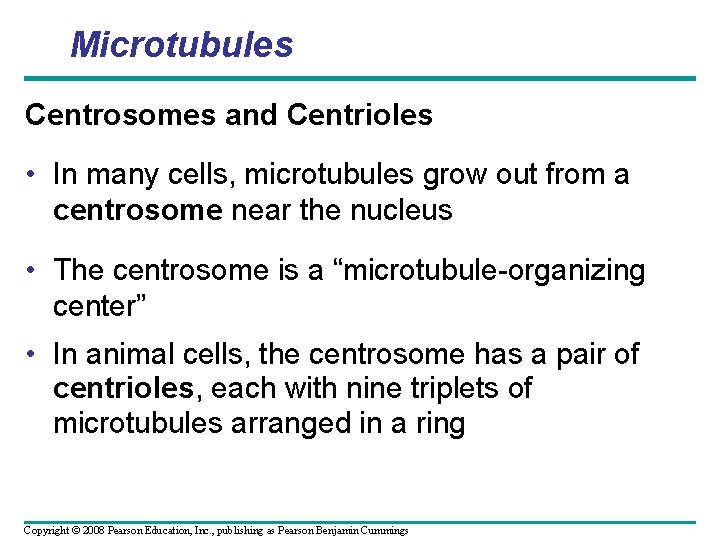 Microtubules Centrosomes and Centrioles • In many cells, microtubules grow out from a centrosome