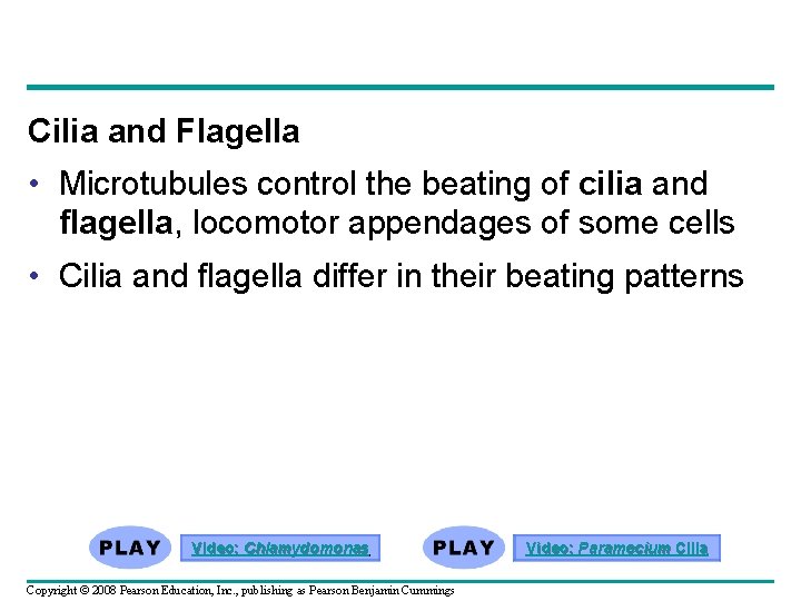 Cilia and Flagella • Microtubules control the beating of cilia and flagella, locomotor appendages