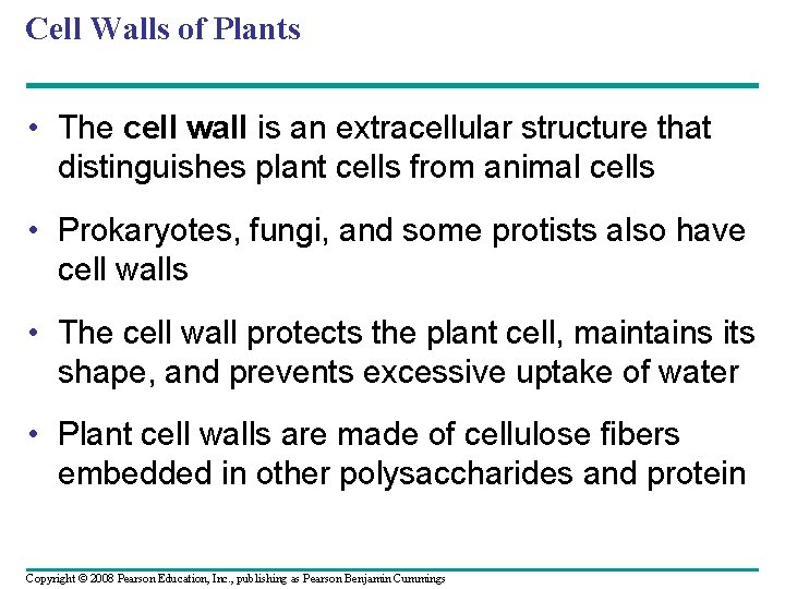Cell Walls of Plants • The cell wall is an extracellular structure that distinguishes