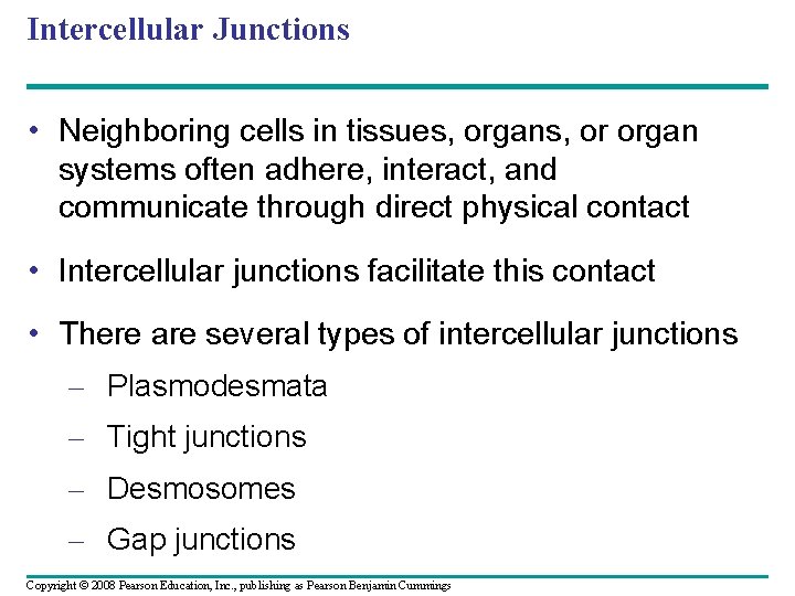 Intercellular Junctions • Neighboring cells in tissues, organs, or organ systems often adhere, interact,
