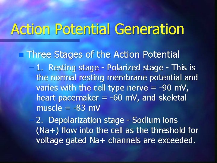Action Potential Generation n Three Stages of the Action Potential – 1. Resting stage