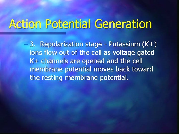 Action Potential Generation – 3. Repolarization stage - Potassium (K+) ions flow out of