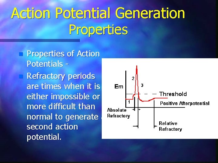 Action Potential Generation Properties n n Properties of Action Potentials Refractory periods are times