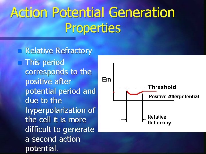Action Potential Generation Properties n n Relative Refractory This period corresponds to the positive