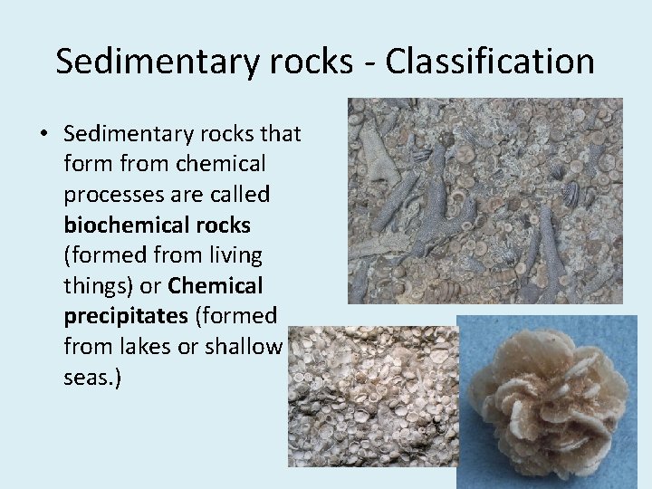 Sedimentary rocks - Classification • Sedimentary rocks that form from chemical processes are called