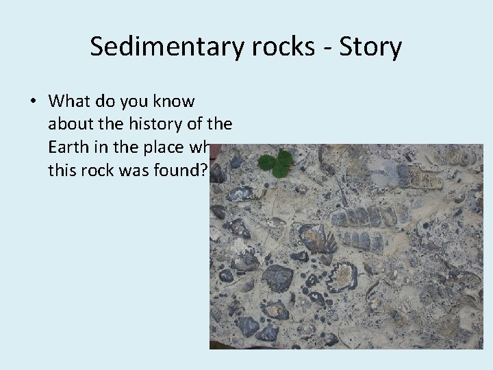 Sedimentary rocks - Story • What do you know about the history of the