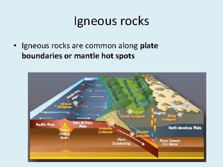 Igneous rocks • Igneous rocks are common along plate boundaries or mantle hot spots