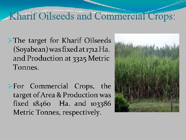 Kharif Oilseeds and Commercial Crops: ØThe target for Kharif Oilseeds (Soyabean) was fixed at