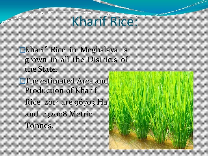 Kharif Rice: �Kharif Rice in Meghalaya is grown in all the Districts of the