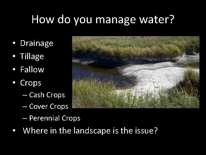 How do you manage water? • • Drainage Tillage Fallow Crops – Cash Crops How do you manage water? • • Drainage Tillage Fallow Crops – Cash Crops