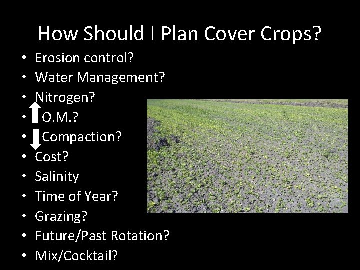How Should I Plan Cover Crops? • • • Erosion control? Water Management? Nitrogen? How Should I Plan Cover Crops? • • • Erosion control? Water Management? Nitrogen?