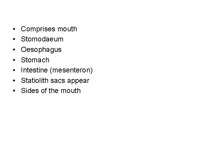  • • Comprises mouth Stomodaeum Oesophagus Stomach Intestine (mesenteron) Statiolith sacs appear Sides