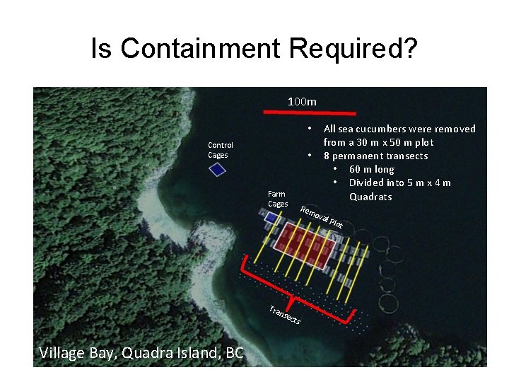 Is Containment Required? 100 m Allsea seacucumberswereremoved • • All fromaa 30 30 mmxx