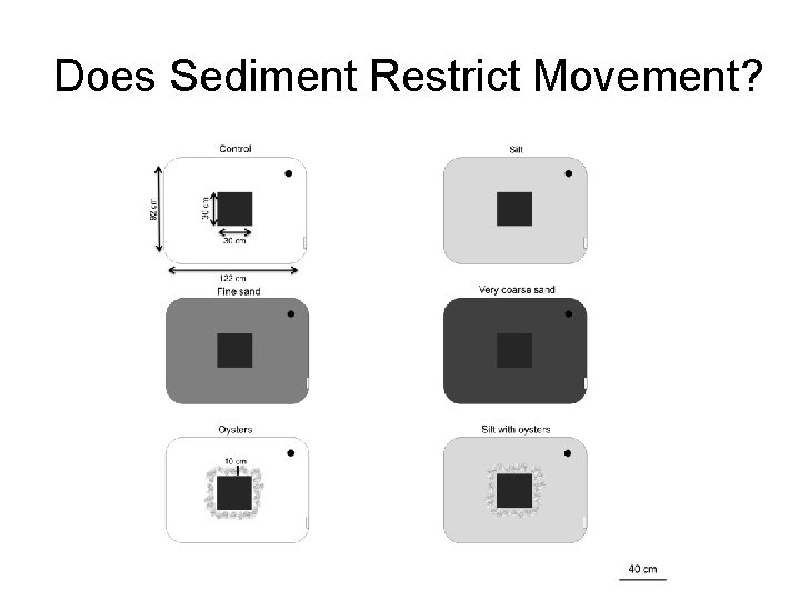 Does Sediment Restrict Movement? 