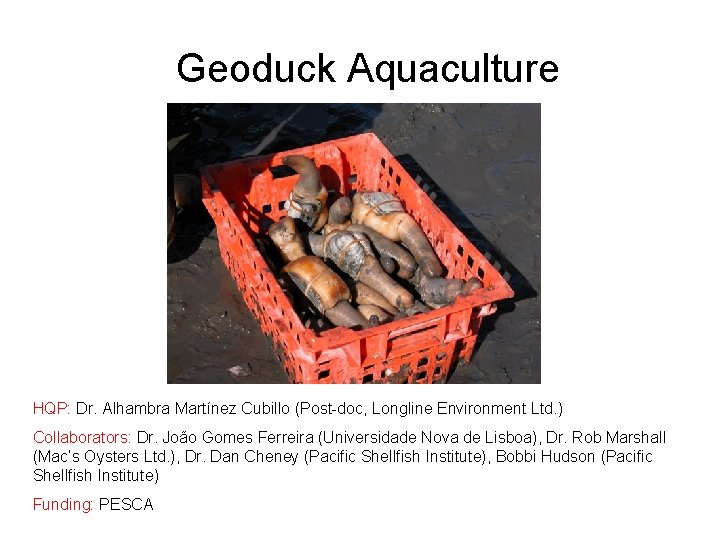 Geoduck Aquaculture HQP: Dr. Alhambra Martínez Cubillo (Post-doc, Longline Environment Ltd. ) Collaborators: Dr.