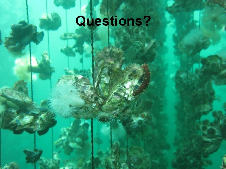 Questions? 