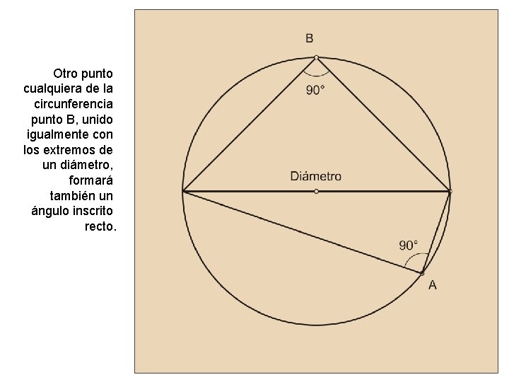 Otro punto cualquiera de la circunferencia punto B, unido igualmente con los extremos de