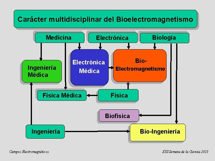 Carácter multidisciplinar del Bioelectromagnetismo Medicina Ingeniería Médica Biología Electrónica Médica Física Médica Bio. Electromagnetismo