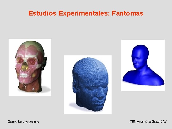 Estudios Experimentales: Fantomas Campos Electromagnéticos XIII Semana de la Ciencia 2013 