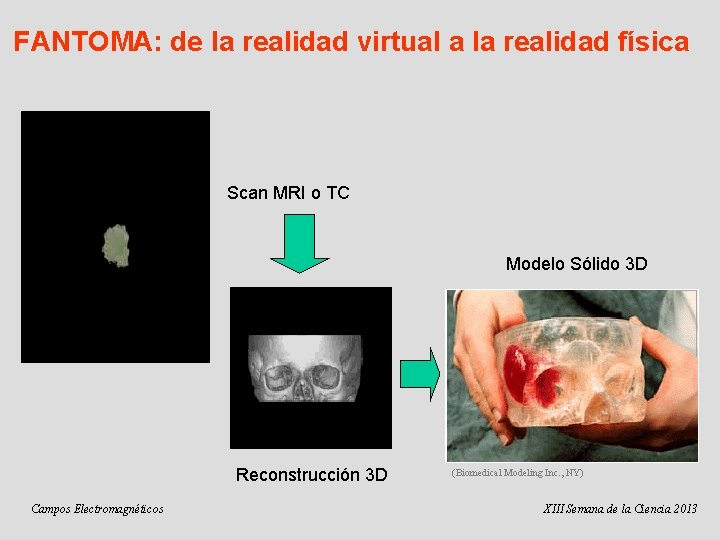 FANTOMA: de la realidad virtual a la realidad física Scan MRI o TC Modelo