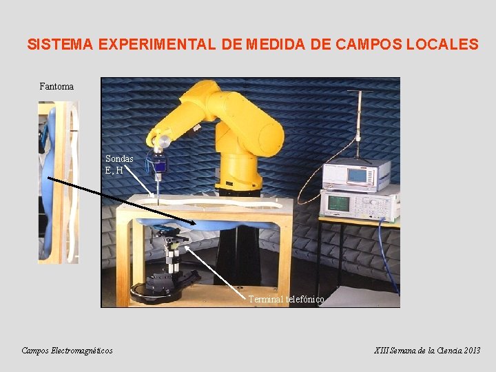 SISTEMA EXPERIMENTAL DE MEDIDA DE CAMPOS LOCALES Fantoma Sondas E, H Terminal telefónico Campos