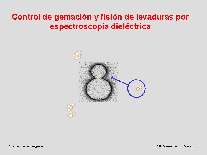 Control de gemación y fisión de levaduras por espectroscopía dieléctrica Campos Electromagnéticos XIII Semana